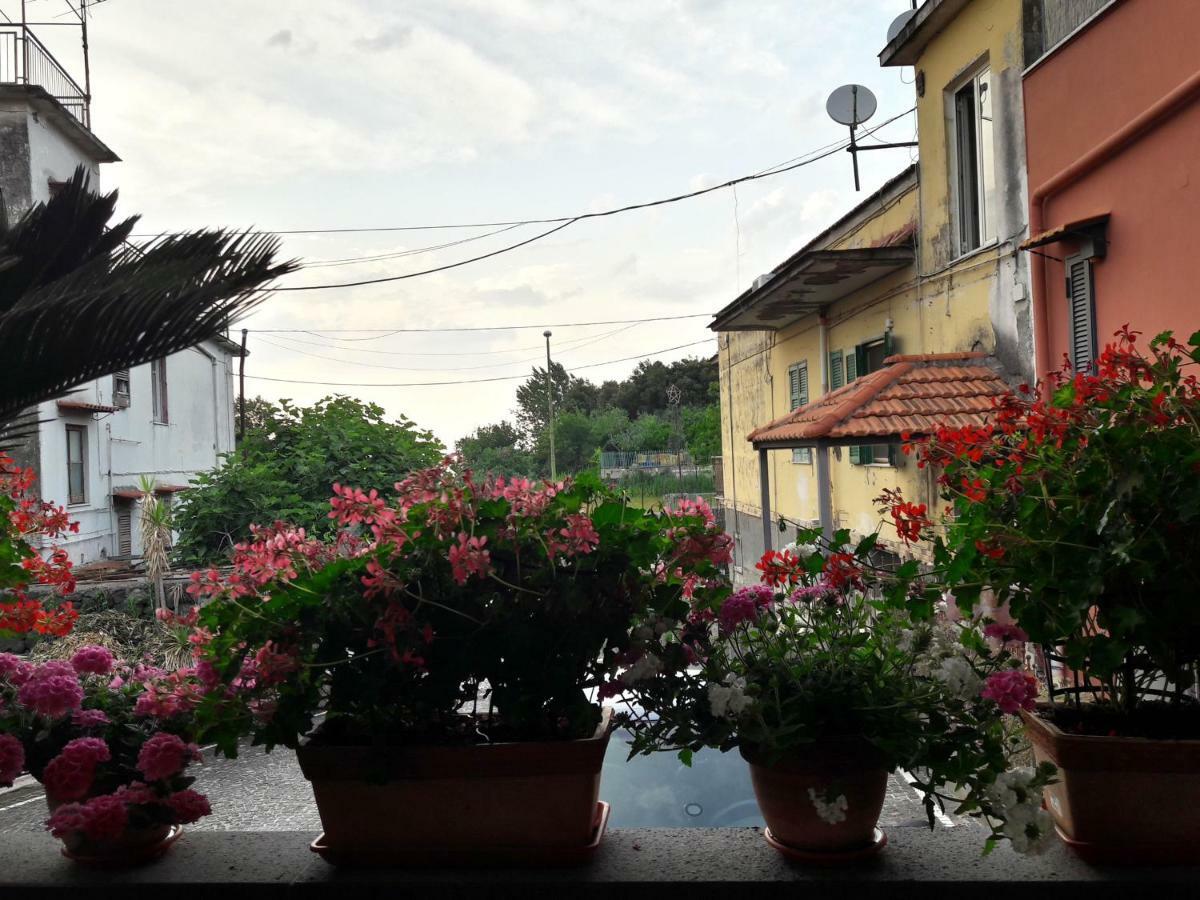 Bed and Breakfast La Caldera Del Vesuvio Ercolano Exterior foto